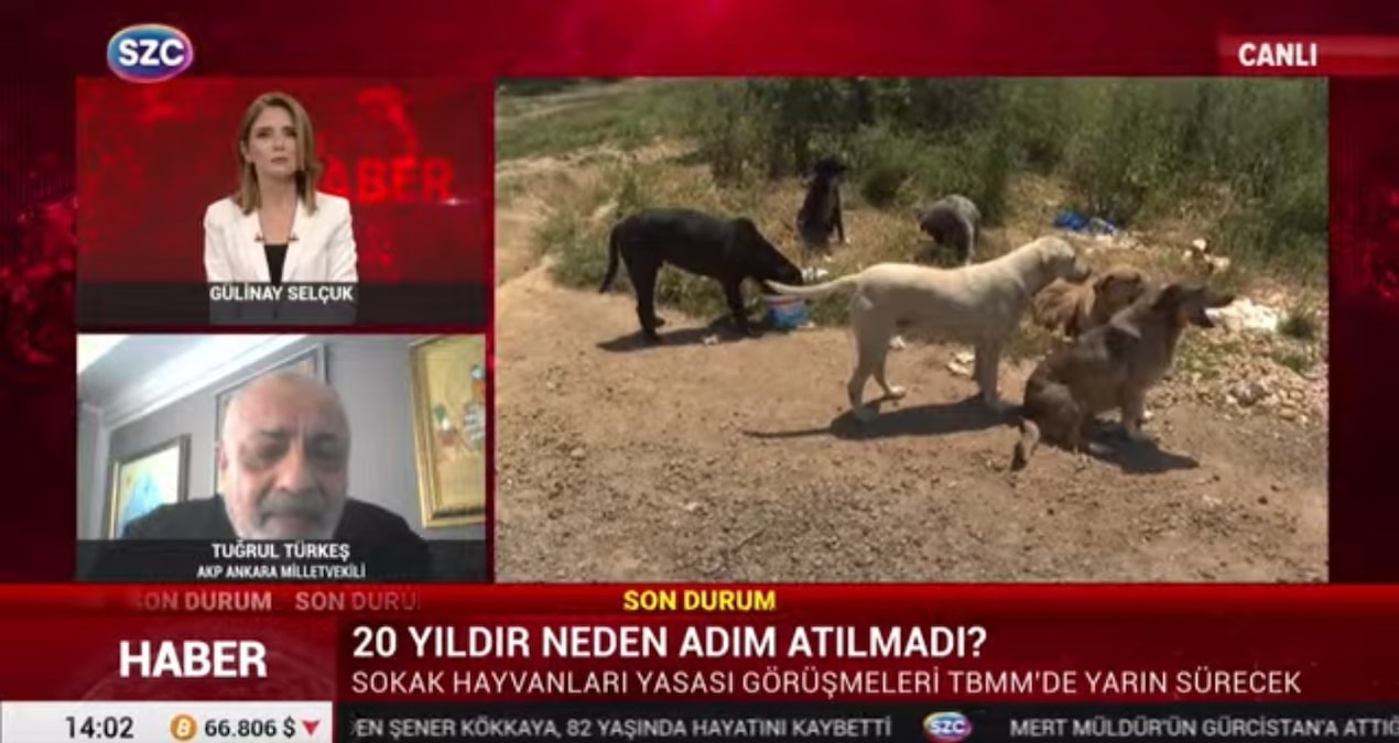 AKP’li Türkeş’ten katliam yasasına tepki: Doğru bir şey değil